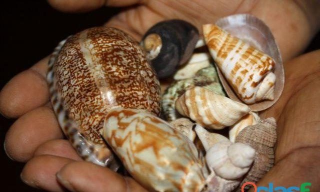 LOST LOVE SPELL DALLAS + 256702530886 LOST LOVE SPELL CALIFORNIA WIN COURT CASE DEATH SPELLS EN ACERED