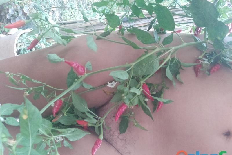 MASAJES CON AMOR Y SENSUALIDAD EN NERJA