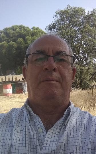 MATRIMONIO POR DINERO EN ESPAÑA