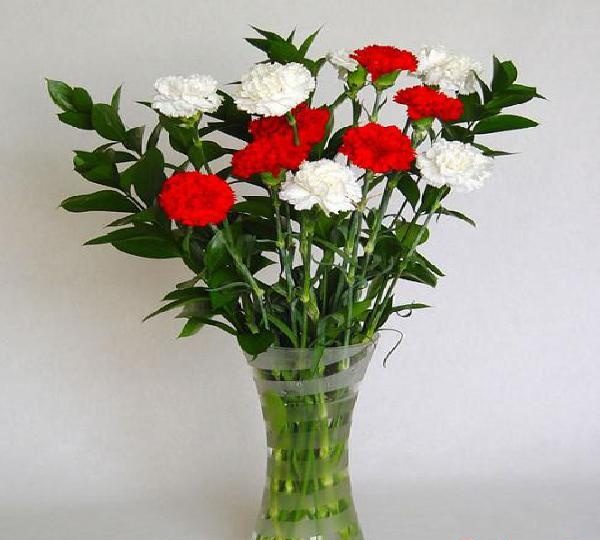 ME CONOCER UNA JOVENCITA ASTA19 AÑOS X AYUDA ECONOMICA