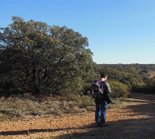 ME GUSTARÍA CONOCER MUJER MADURA EN LORCA