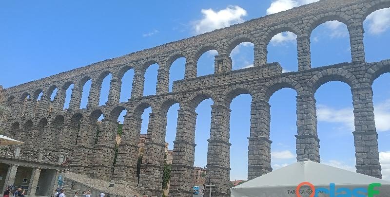 ME OFREZCO PARA SER CHICO DE COMPAÑÍA SOLO MADUROS EN MADRID