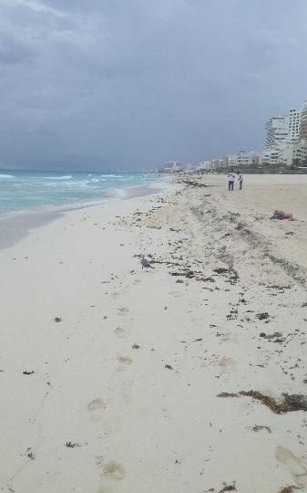 MOROCHO TODO TUYO BEBE EN CÁCERES