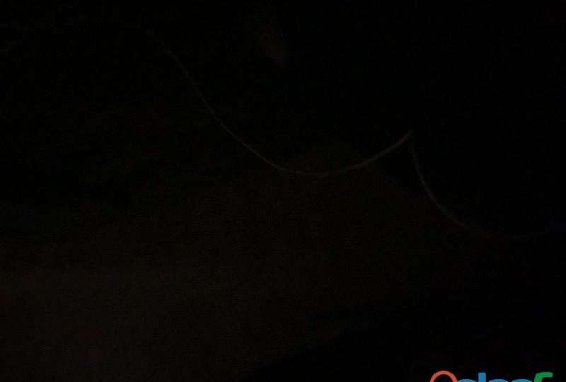 MUJER PARA TRIO EN TAVERNES DE LA VALLDIGNA