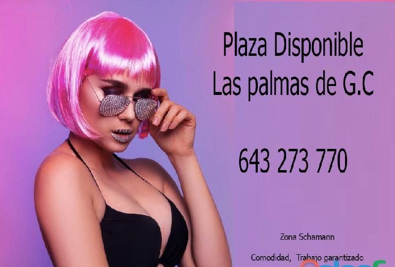 NECESITAMOS CHICAS PARA PLAZA LAS PALMAS EN LAS PALMAS