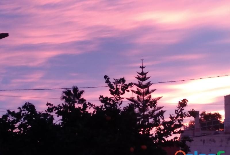 NECESITO K MI CASA NO ESTE SOLA EN CARTAGENA