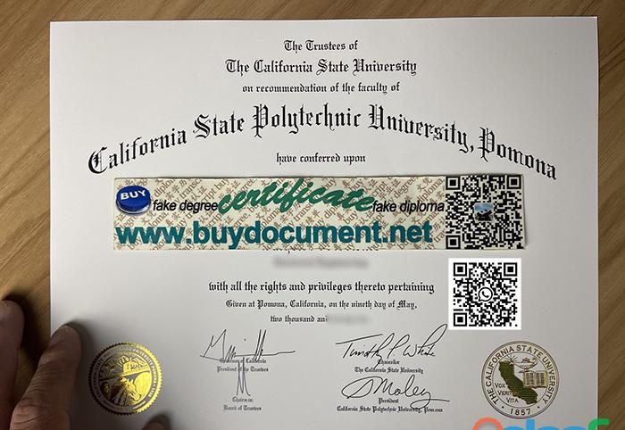 NEED A FAKE CAL POLY POMONA DIPLOMA EN ESPAÑA