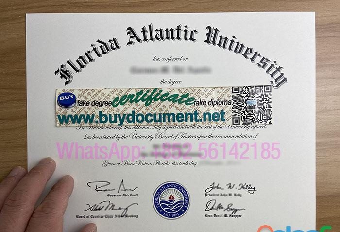 NEED A FLORIDA ATLANTIC UNIVERSITY DIPLOMA EN ESPAÑA