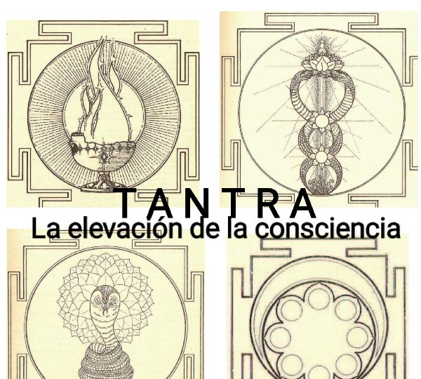 NOVEDAD EN LEÓN ESPAÑA JOVEN MASAJISTA EN LEÓN