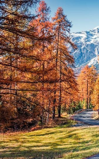 OFREZCO SEXO GRATIS EN VIVO O TELÉFONICO EN PAMPLONA