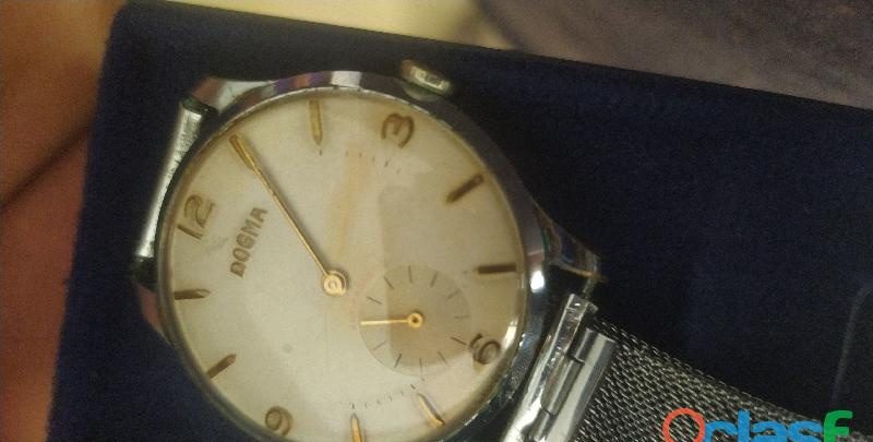 OSITO NEGRO, DOS METROS CON MANOS GRANDES EN ALICANTE