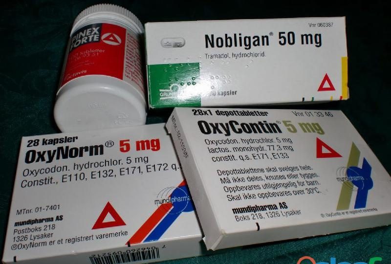 OXYNORM KAPSULE IN TEKOČINA – UČINKOVITA PROTIBOLEČINSKA TERAPIJA ZDAJ NA ZALOGI EN ALDEARRUBIA