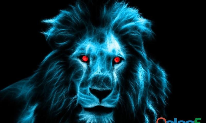 PAGO 500 EUROS A CHICA POR UNA NOCHE EN ARRECIFE