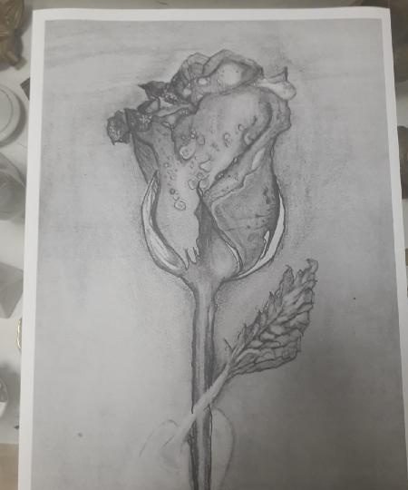 PAREJA BUSCA PAREJA EN ALARÓ