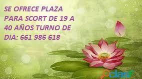 PLAZA DE DIA,SE PRECISAN SCORTS. EN ESPAÑA