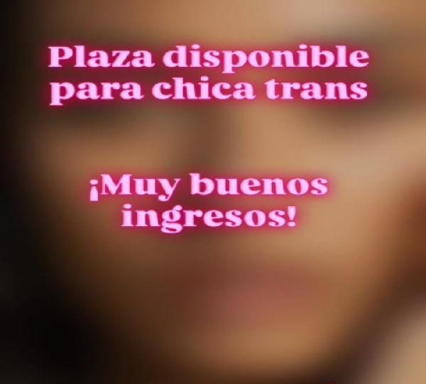 PLAZA DISPONIBLE CHICA TRANS. EN MADRID
