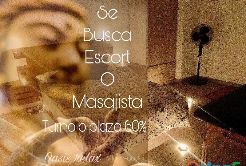 PLAZA O TURNO EN VITORIA GASTEIZ 60% EN VITORIA