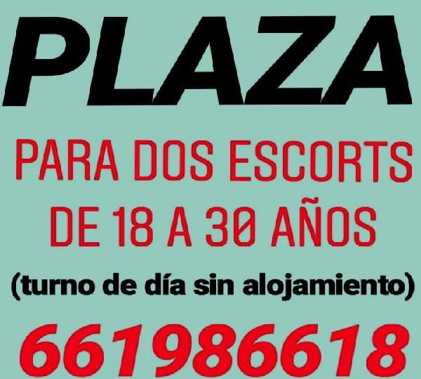 PLAZA PARA ESCORTS DE 18 A 30 AÑOS EN VALENCIA