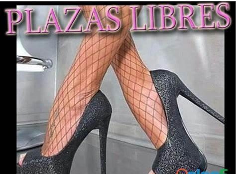 PLAZAS CON DISPONIBILIDAD INMEDITA//ESCRIBE. EN VALENCIA