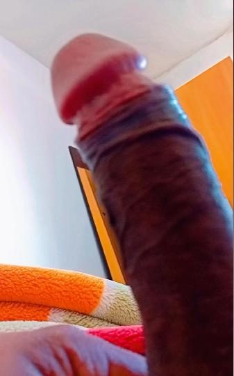 POLLA LATINA GRATIS SIN MALOS ROLLOS 25 AÑOS SOLO????? EN PAMPLONA