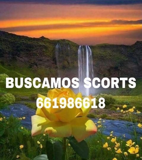 PRECISAMOS SCORTS ENTRE 18Y 40 AÑOS. EN VALENCIA