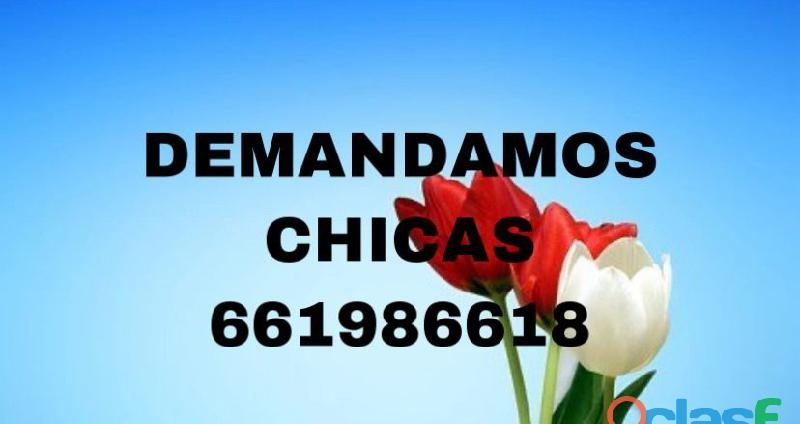 PRECISO SCORTS PARA PISO EN VALENCIA CAPITAL. EN VALENCIA