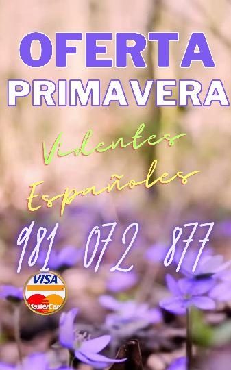 PROMO PRIMAVERA VIDENTES ESPAÑOLES EN ALMISERAT