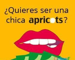 ¿QUIERES SER CHICA APRICOTS CAMP NOU? EN BARCELONA