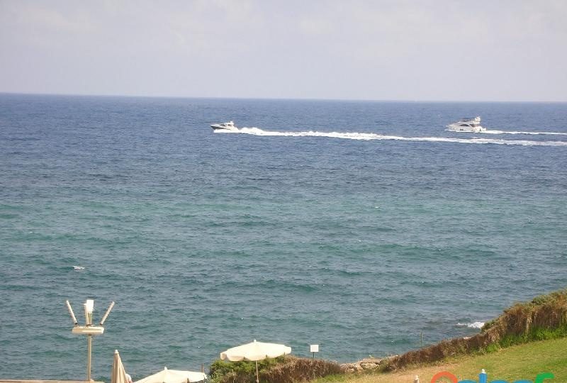 SECRETARIA ENTRE 18 30 AÑOS. EN VALENCIA