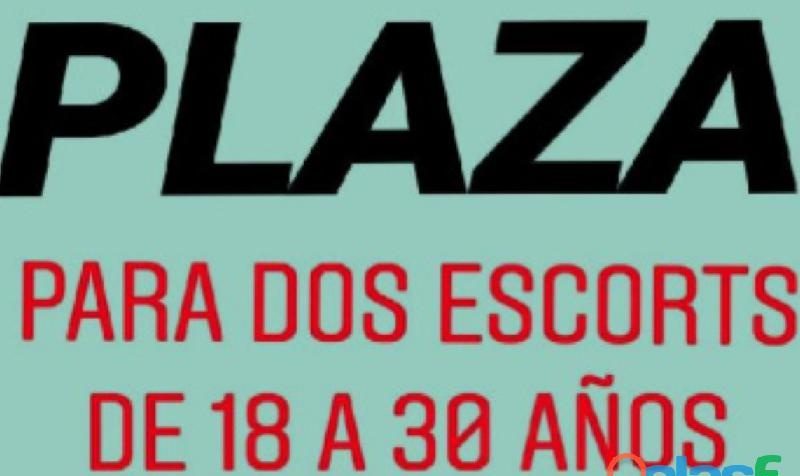 SELECIONA CHICAS CHICAS PLAZA PISO RELAX BUSCAMOS CHICAS DE 18 A 30 AÑOSBUENA PRESENCIA SE NECESITA
