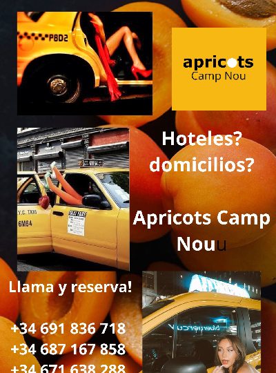 SEXO A DOMICILIO... APRICOTS CAMP NOU A TU PUERTA EN BARCELONA