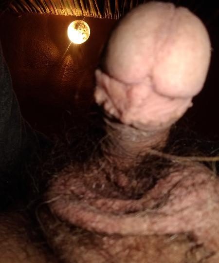 SEXO CON GAY O TRANS EN ELX