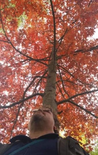 SEXO Y AMOR CON CARICIAS EN SEGORBE