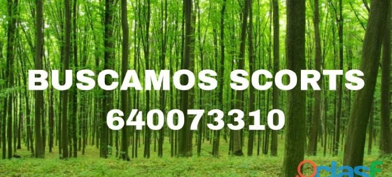 SOLO SE TRABAJA DE DIA DE LUNES A VIERNES. EN VALENCIA