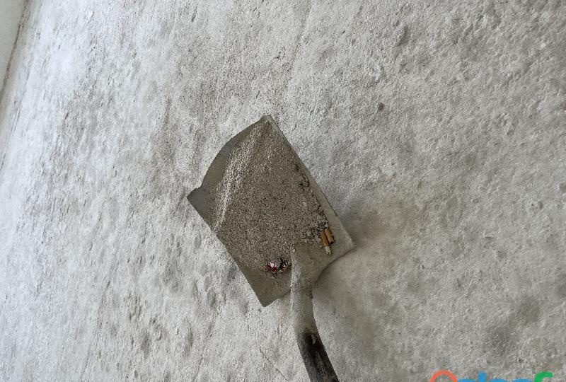 SOTOGRANDE / BUSCO PASAR UN BUEN RATO EN SAN ROQUE