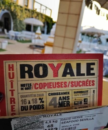 SUMISO CASADO VIVO EN EL ALJARAFE EN BORMUJOS