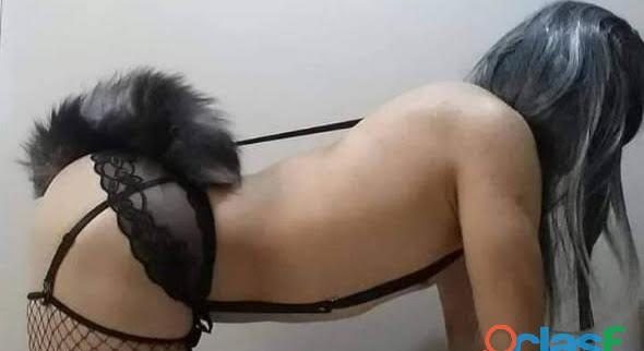 SUMISO EN BUSCA DE MUJER DOMINANTE MADURA EN SEGOVIA