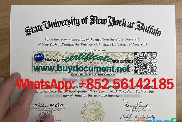 SUNY BUFFALO DIPLOMA FOR SALE EN ESPAÑA