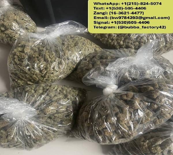TELEGRAM:(@BUBBA_FACTORY42) BUY WEED, COCAINE, HEROIN AND SHROOMS IN FRANCE, ROMANIA, UKRAINE, GERMA EN ESPAÑA
