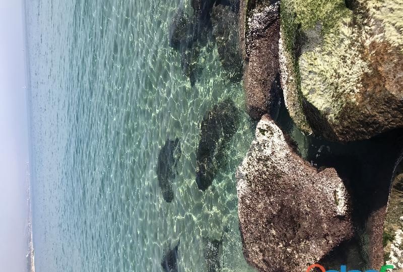 TRABAJA CÓMODAMENTE Y GANA BIEN EN ESPAÑA