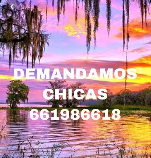 TRABAJO PARA SCORT ASEGURADO DE LUNES A VIERNES. EN VALENCIA