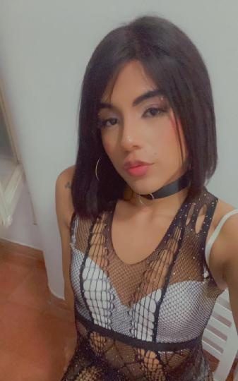 TRANS EDUCADA LIMPIA Y FIESTERA EN VALENCIA