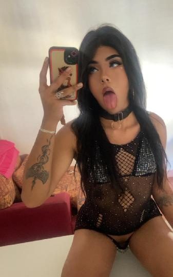 TRANS VERSATIL SACA LECHE EN GANDIA