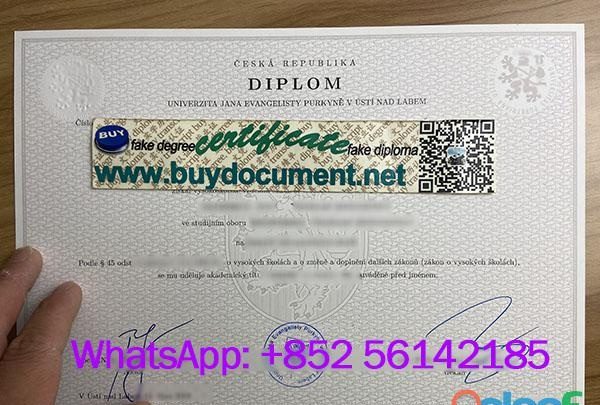 UJEP DIPLOMA FOR SALE EN ESPAÑA