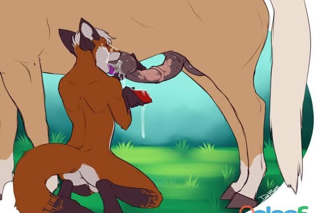 ZOOFILICO BUSCA CABALLO?? EN GUADALAJARA